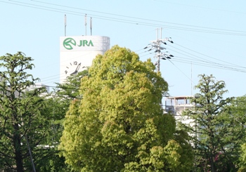���Զ��Ͼ�