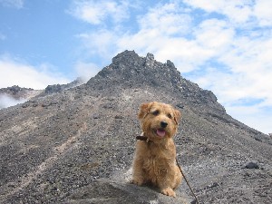 牛ケ首に到着