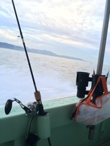 まさかこの写真が役立つ時がくるとは・・・