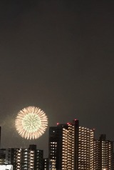 遠目の花火が今は好きです