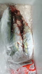 困ったときのメジャクラよねw