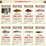 ほとんど運がないと無理なレベルw