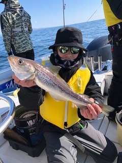 20180204am2
