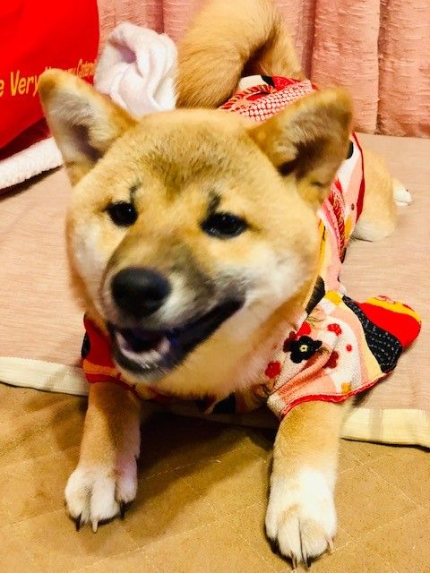 20190101am3