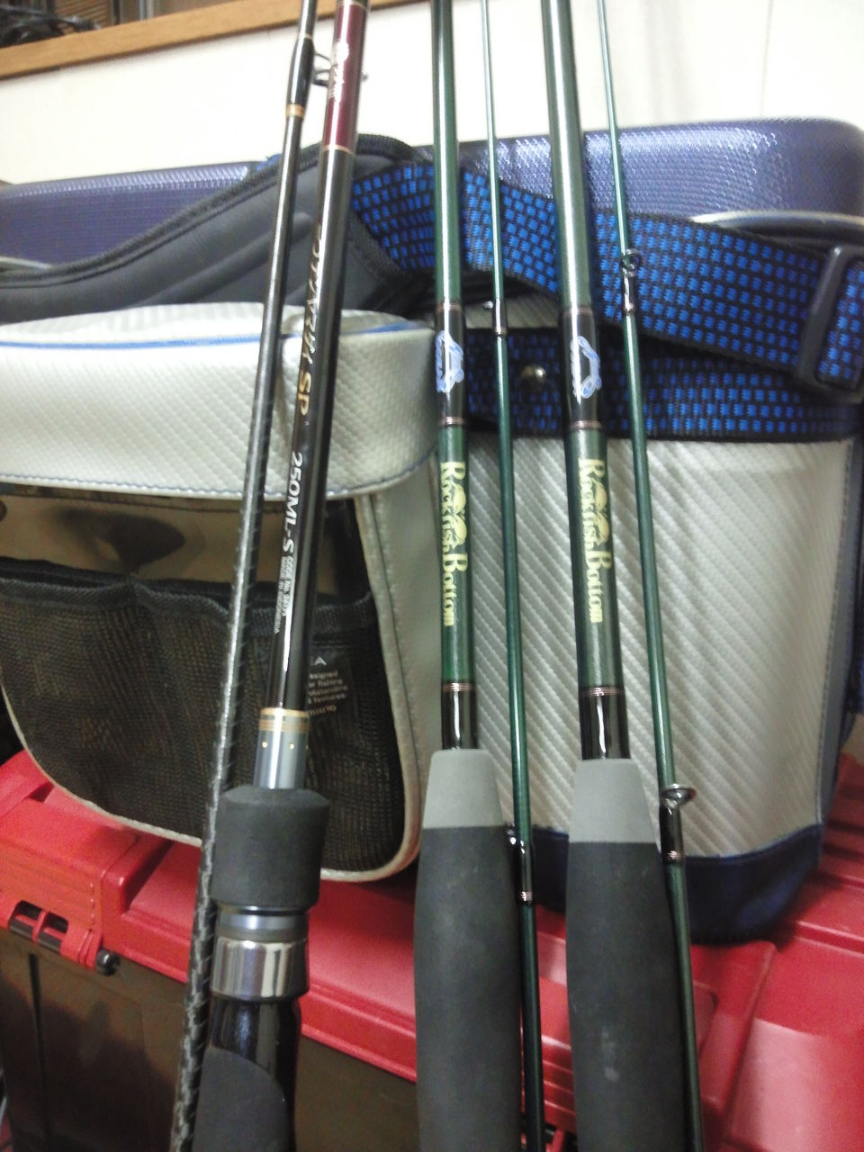 知りたいこと。 について : 釣り船 さざえ堂 船長Nori の釣りブログ