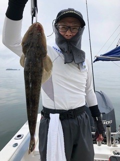 20180606am3