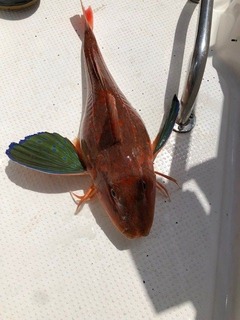 20180429am5
