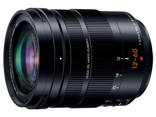 LEICA DC VARIO-【訳あり品】 Panasonic（パナソニック） 交換用レンズ LEICA DG VARIO-ELMAR 100