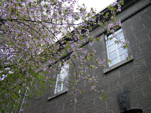 IMGP4316