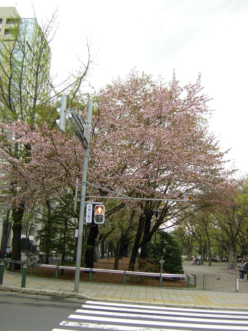 IMGP4297