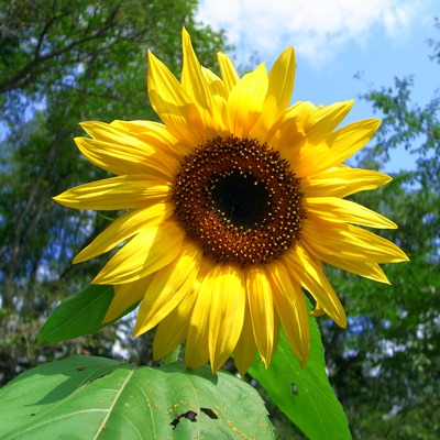 R0021629--