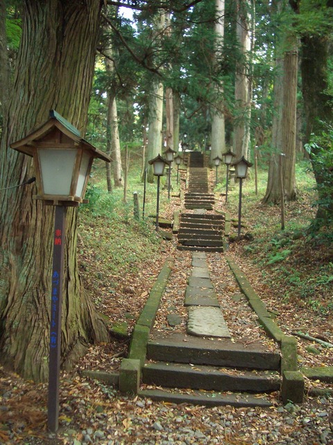 37d07959.jpg