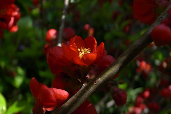 R0023394