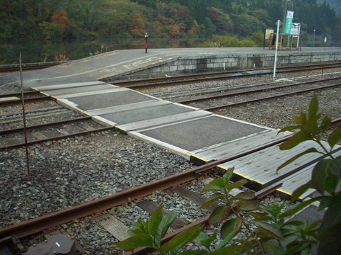 6d338343.jpg