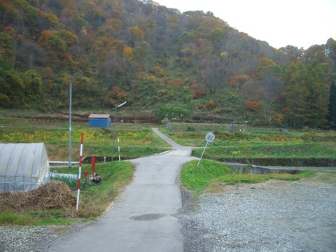fbe61c63.jpg