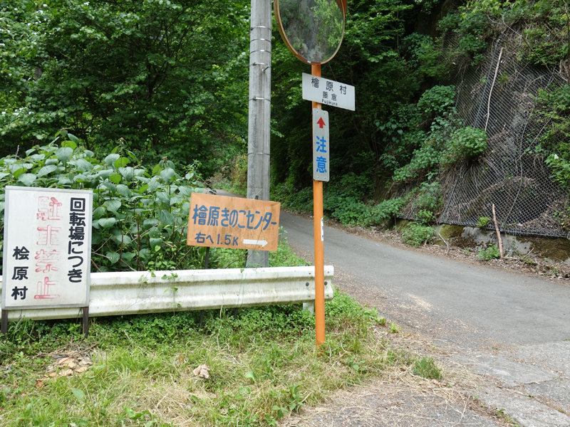 05