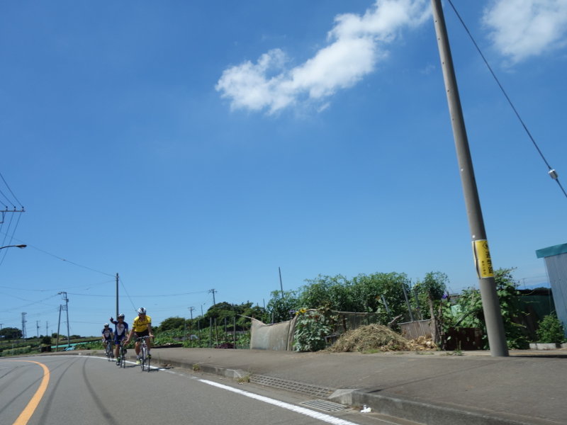 04