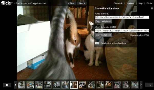 スライドショー