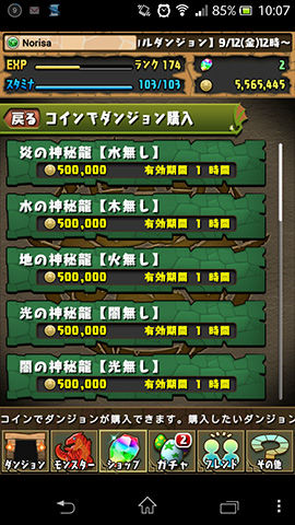 コインでダンジョンを購入03