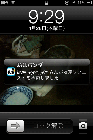 おはようパンダ（プッシュ通知）