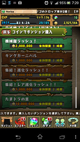 コインでダンジョンを購入04