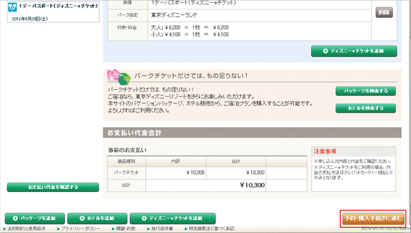 ディズニーチケット購入06