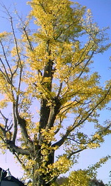 3d2099e5.jpg