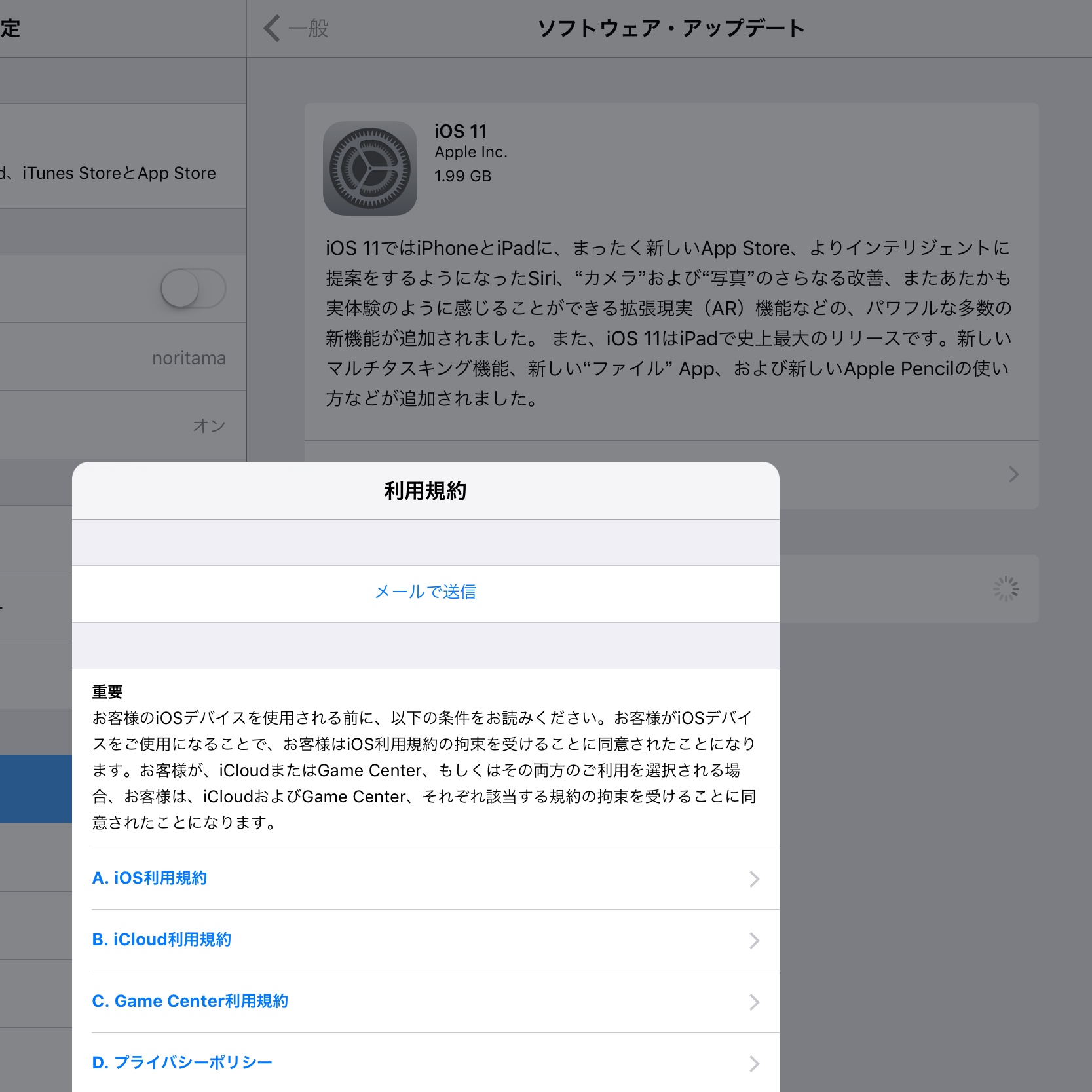 iPad Pro