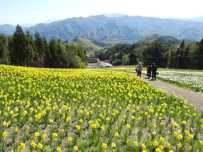 歩経路1