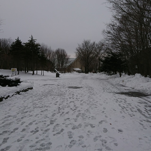 PHOTO_20161227_144416