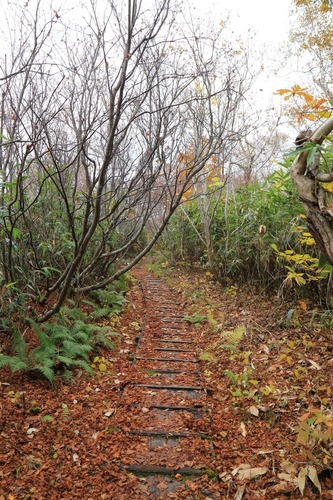 20141011_092948