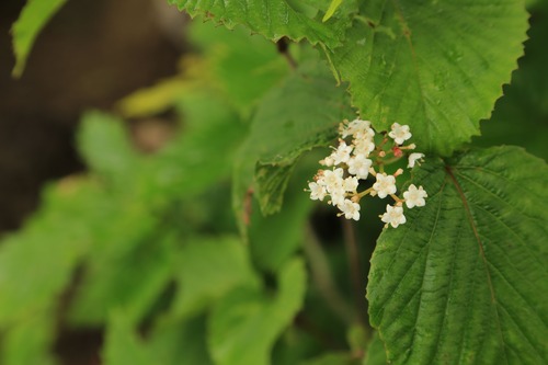 20140621_102703