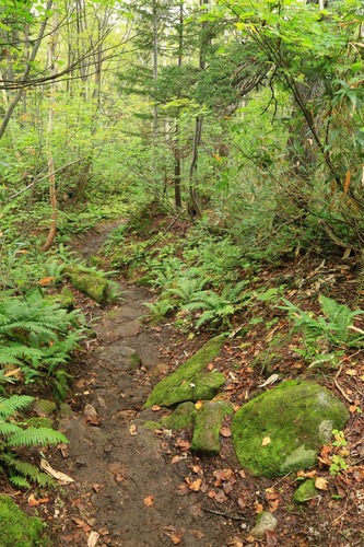 20140914_134759