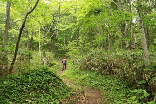 20140621_092950