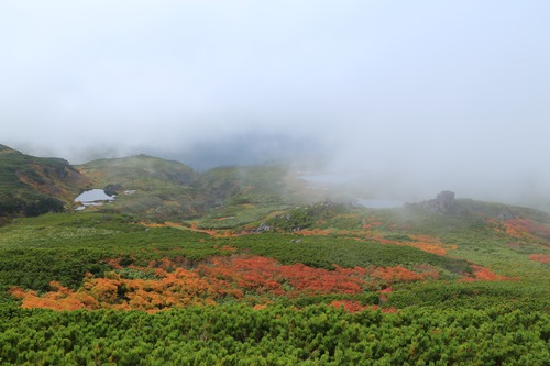 20140914_114658