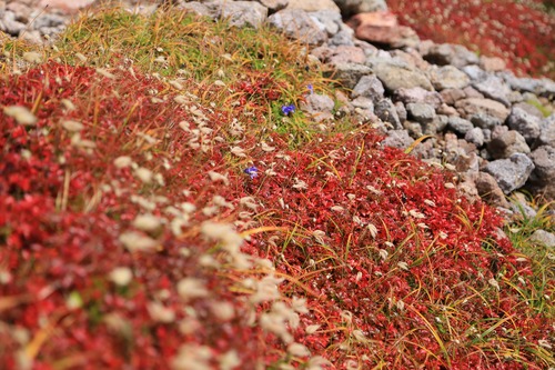 20140913_103631