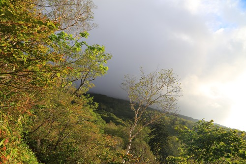 20140906_060842