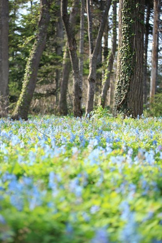 20150429_141515