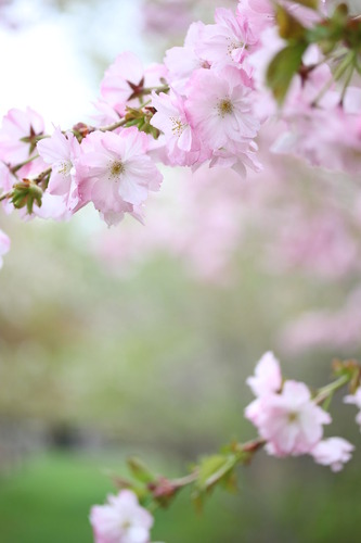20140508_125130