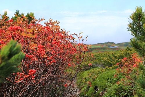 20140913_111512