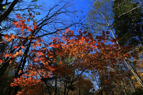 20141018_122441