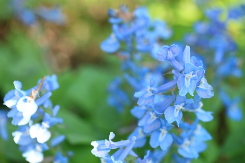 20150429_141352