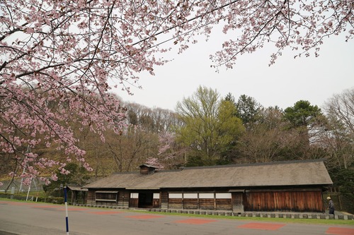 20150503_145545