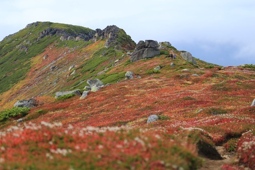 20140914_104016