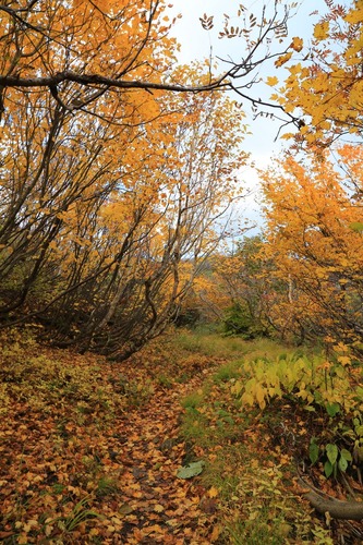 20141011_083258