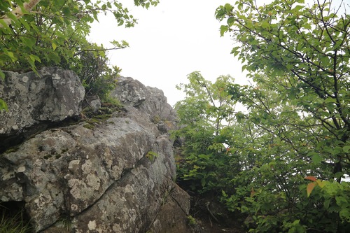 20140621_102149