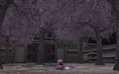 Nol12051101