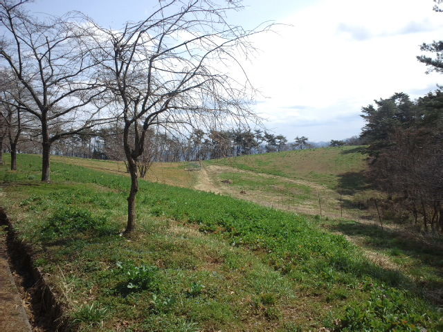 CA3J04140001