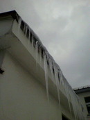 P1030002