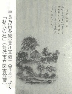 宇良乃笛多畿より杉沢の杜